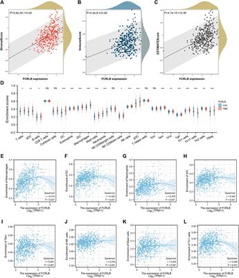 High Expression of FCRLB Predicts Poor Prognosis in Patients With Colorectal Cancer